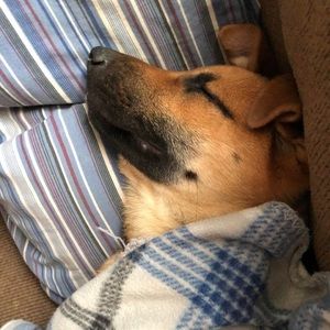 Meet your Posher, Kaleb